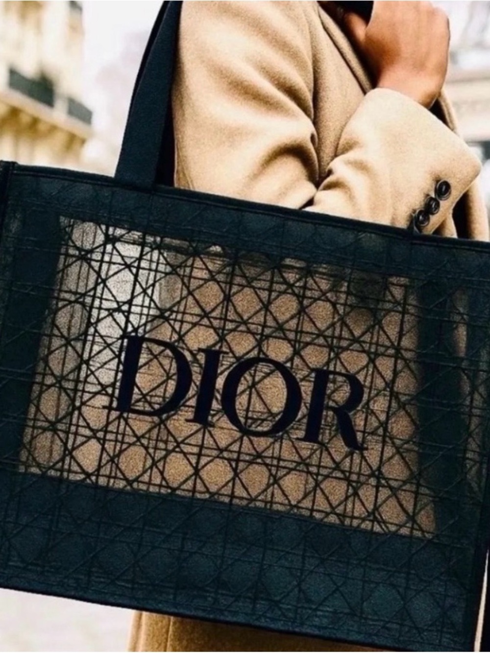NIP Dior Black Mesh Tote Bag